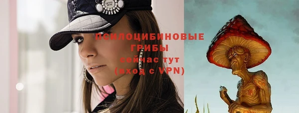 ECSTASY Ижевск