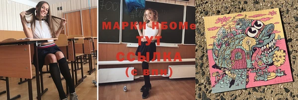 сатива Новосибирск