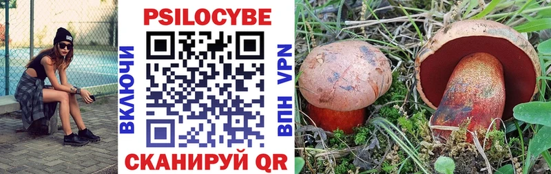 Купить где  Полярный  Галлюциногенные грибы GOLDEN TEACHER 